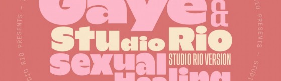 Marvin Gaye & Studio Rio - Sexual Healing (Mr Bongo)